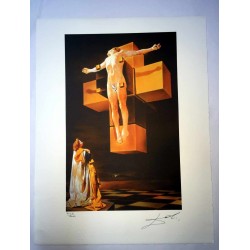 Salvador Dali cm 50x65 carta BFK RIVES firmato a matita timbro artista