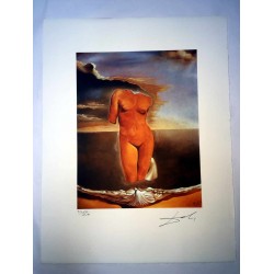 Salvador Dali cm 50x65 carta BFK RIVES firmato a matita timbro artista