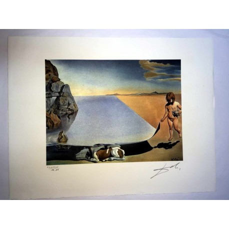 Salvador Dali cm 50x65 carta BFK RIVES firmato a matita timbro artista