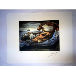 Salvador Dali cm 50x65 carta BFK RIVES firmato a matita timbro artista