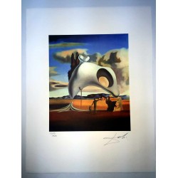 Salvador Dali cm 50x65 carta BFK RIVES firmato a matita timbro artista