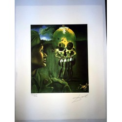 Salvador Dali cm 50x65 carta BFK RIVES firmato a matita timbro artista