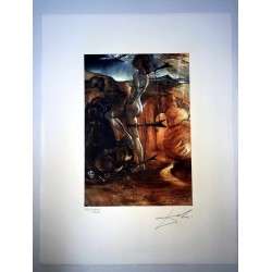 Salvador Dali cm 50x65 carta BFK RIVES firmato a matita timbro artista