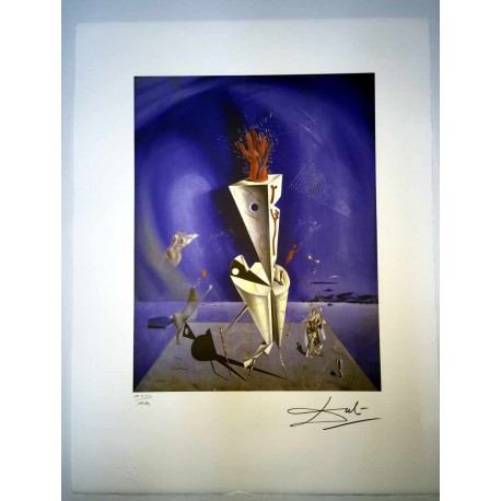 Salvador Dali cm 50x65 carta BFK RIVES firmato a matita timbro artista