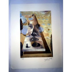 Salvador Dali cm 50x65 carta BFK RIVES firmato a matita timbro artista