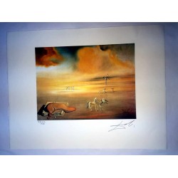 Salvador Dali cm 50x65 carta BFK RIVES firmato a matita timbro artista