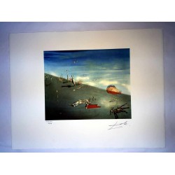 Salvador Dali cm 50x65 carta BFK RIVES firmato a matita timbro artista