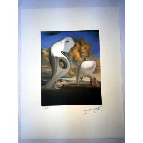 Salvador Dali cm 50x65 carta BFK RIVES firmato a matita timbro artista