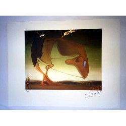 Salvador Dali cm 50x65 carta BFK RIVES firmato a matita timbro artista