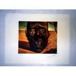 Salvador Dali cm 50x65 carta BFK RIVES firmato a matita timbro artista