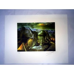 Salvador Dali cm 50x65 carta BFK RIVES firmato a matita timbro artista