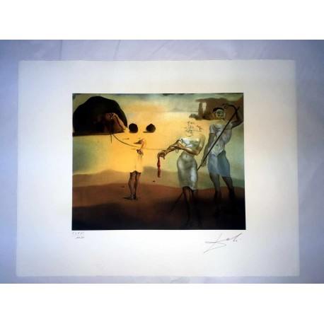 Salvador Dali cm 50x65 carta BFK RIVES firmato a matita timbro artista