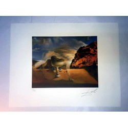 Salvador Dali cm 50x65 carta BFK RIVES firmato a matita timbro artista