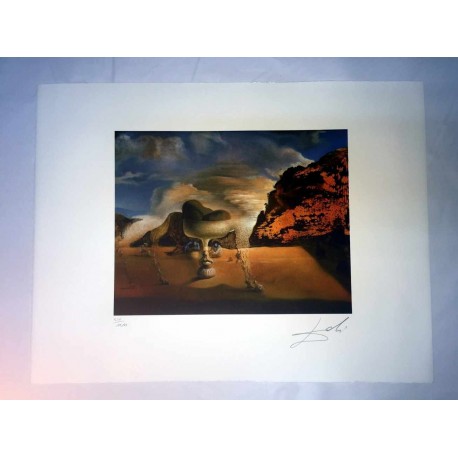 Salvador Dali cm 50x65 carta BFK RIVES firmato a matita timbro artista