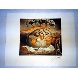 Salvador Dali cm 50x65 carta BFK RIVES firmato a matita timbro artista