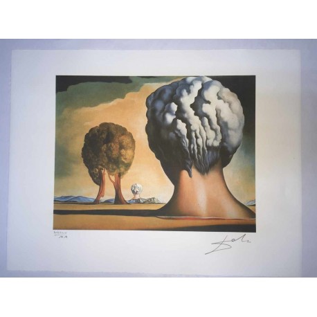 Salvador Dali cm 50x65 carta BFK RIVES firmato a matita timbro artista