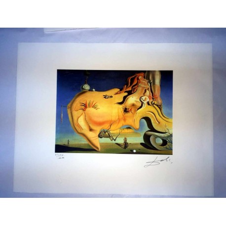 Salvador Dali cm 50x65 carta BFK RIVES firmato a matita timbro artista