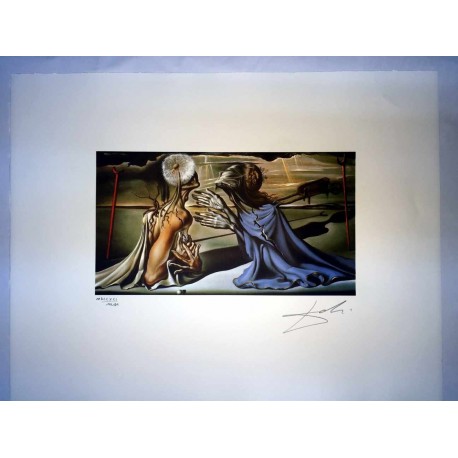 Salvador Dali cm 50x65 carta BFK RIVES firmato a matita timbro artista