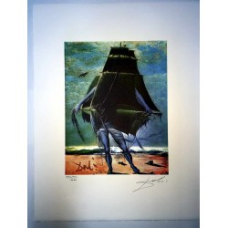 Salvador Dali cm 50x65 carta BFK RIVES firmato a matita timbro artista