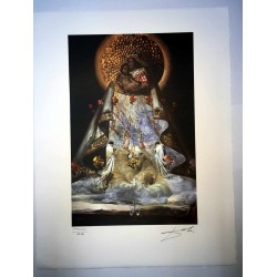 Salvador Dali cm 50x65 carta BFK RIVES firmato a matita timbro artista