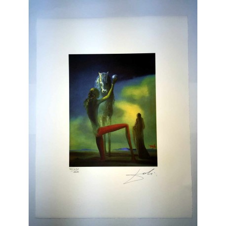 Salvador Dali cm 50x65 carta BFK RIVES firmato a matita timbro artista