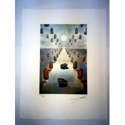 Salvador Dali cm 50x65 carta BFK RIVES firmato a matita timbro artista