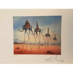 Salvador Dali cm 50x65 carta BFK RIVES firmato a matita timbro artista