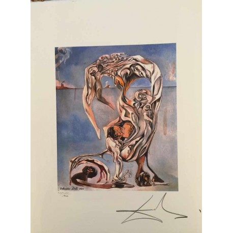 Salvador Dali cm 50x65 carta BFK RIVES firmato a matita timbro artista