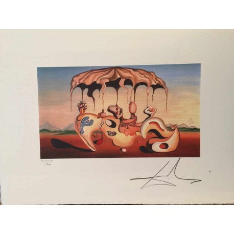 Salvador Dali cm 50x65 carta BFK RIVES firmato a matita timbro artista