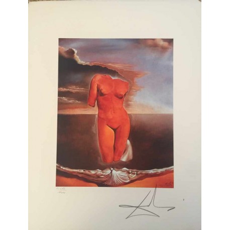 Salvador Dali cm 50x65 carta BFK RIVES firmato a matita timbro artista