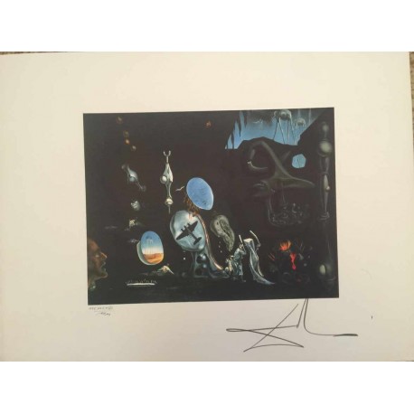 Salvador Dali cm 50x65 carta BFK RIVES firmato a matita timbro artista