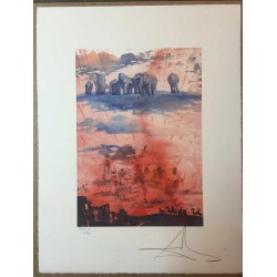 Salvador Dali cm 50x65 carta BFK RIVES firmato a matita timbro artista