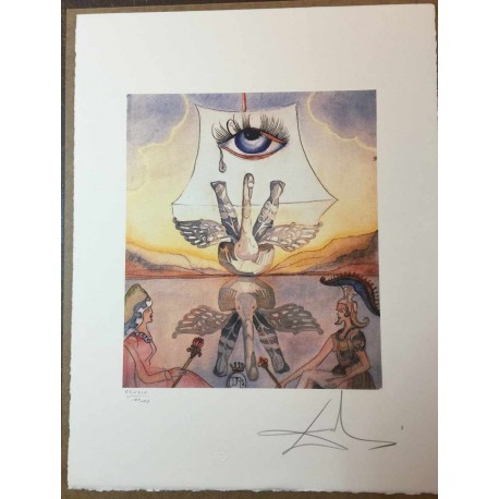 Salvador Dali cm 50x65 carta BFK RIVES firmato a matita timbro artista