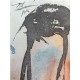 Salvador Dali cm 50x65 carta BFK RIVES firmato a matita timbro artista