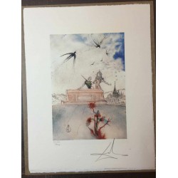 Salvador Dali cm 50x65 carta BFK RIVES firmato a matita timbro artista