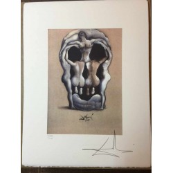 Salvador Dali cm 50x65 carta BFK RIVES firmato a matita timbro artista