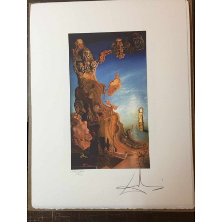 Salvador Dali cm 50x65 carta BFK RIVES firmato a matita timbro artista