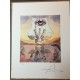 Salvador Dali cm 50x65 carta BFK RIVES firmato a matita timbro artista