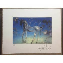 Salvador Dali cm 50x65 carta BFK RIVES firmato a matita timbro artista