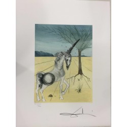 Salvador Dali cm 50x65 carta BFK RIVES firmato a matita timbro artista