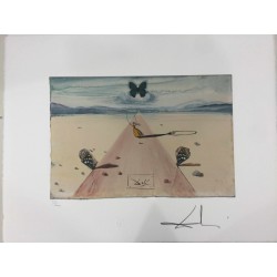 Salvador Dali cm 50x65 carta BFK RIVES firmato a matita timbro artista