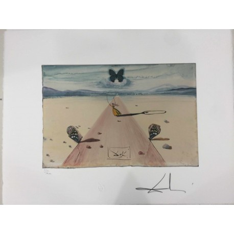 Salvador Dali cm 50x65 carta BFK RIVES firmato a matita timbro artista