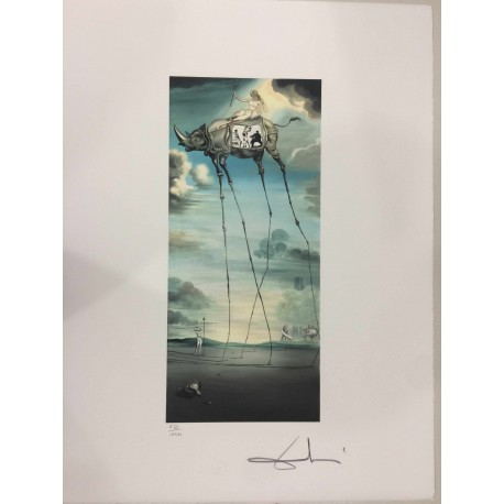 Salvador Dali cm 50x65 carta BFK RIVES firmato a matita timbro artista