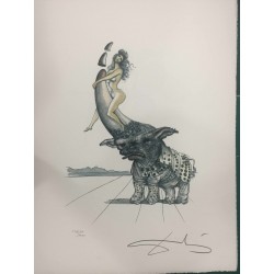 Salvador Dali cm 50x65 carta BFK RIVES firmato a matita timbro artista