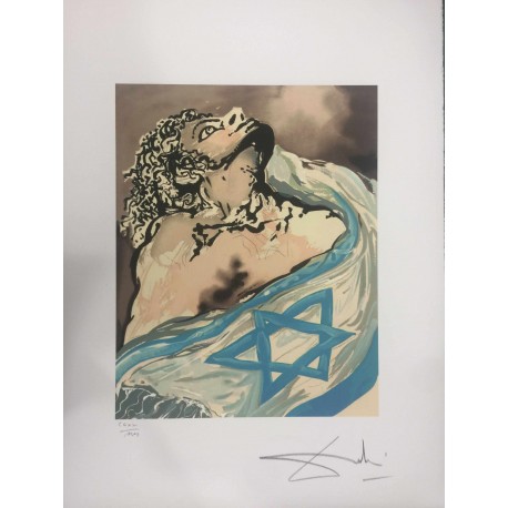 Salvador Dali cm 50x65 carta BFK RIVES firmato a matita timbro artista