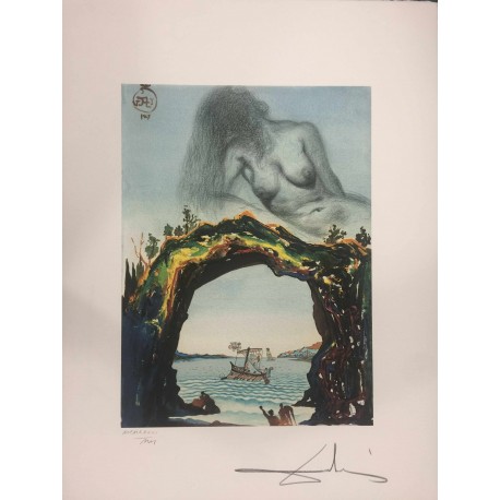 Salvador Dali cm 50x65 carta BFK RIVES firmato a matita timbro artista