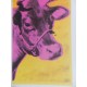 Andy Warhol Litografia ex. 125 cm 35x50