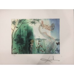 Salvador Dali cm 50x65 carta BFK RIVES firmato a matita timbro artista