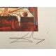 Salvador Dali litografia cm 50x70  firma matita serie Tarocchi