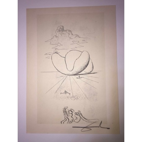 Salvador Dali litografia cm 50x70  firma matita